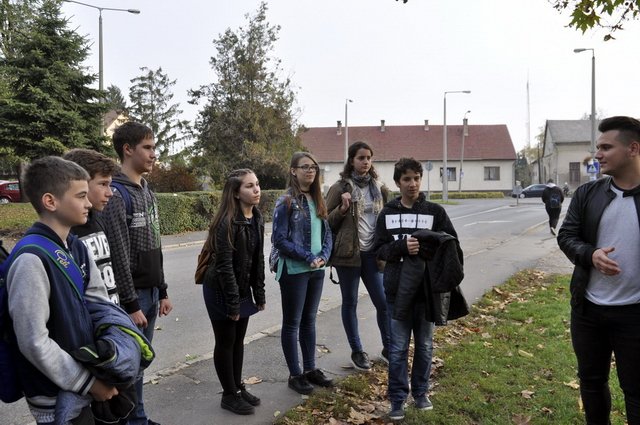 csibetábor az aranyban 03